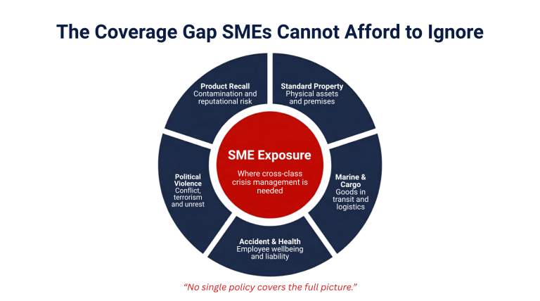 Diagram showing five insurance policy classes — Standard Property, Marine & Cargo, Accident & Health, Political Violence, and Product Recall — surrounding an uncovered central gap representing SME exposure